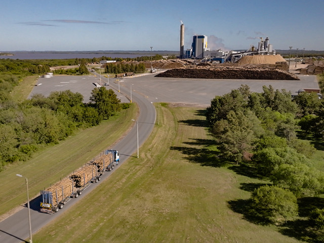 Transporte forestal de UPM en Uruguay: escala, tecnología y seguridad en una operación 24/7