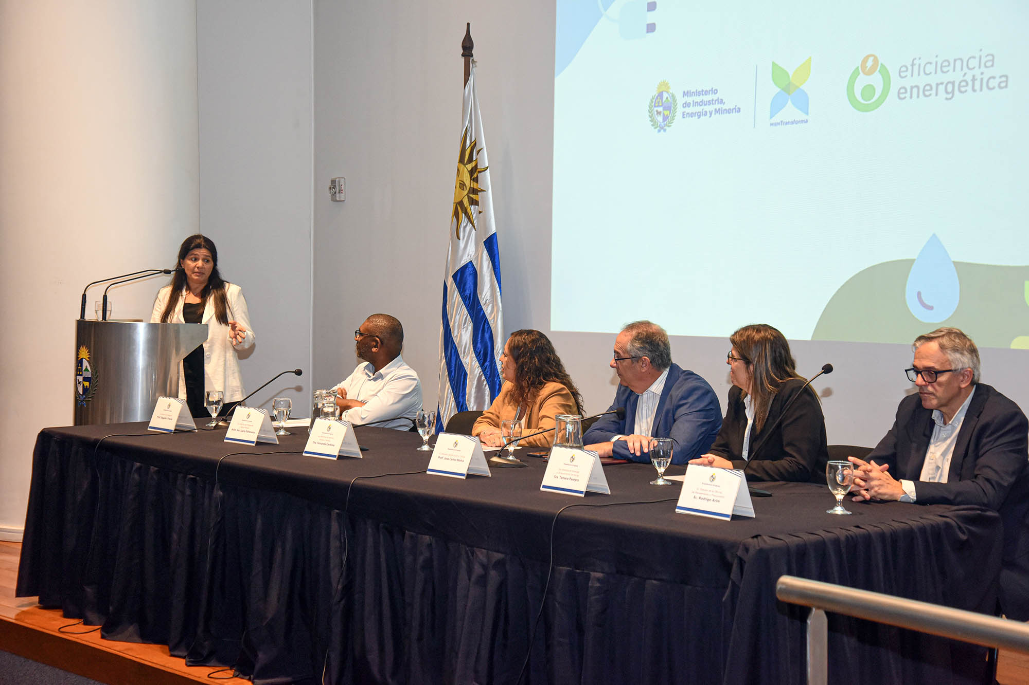 Se presentó el Plan Nacional de Eficiencia Energética 2025-2035 y lanzamos el Premio Nacional de Eficiencia Energética 2026