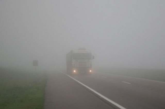 8 Consejos para manejar con niebla: lo que no debemos hacer