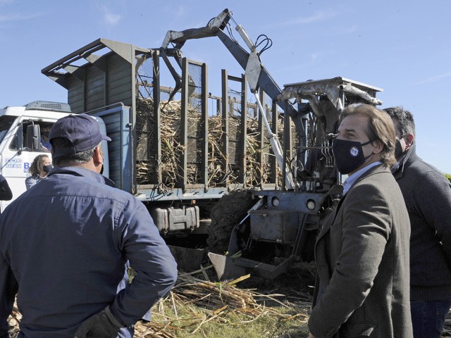 Inicio de la zafra de cosecha de caña de azúcar: "Existe compromiso de todas las partes para desarrollar esa región del país", sostuvo Lacalle Pou