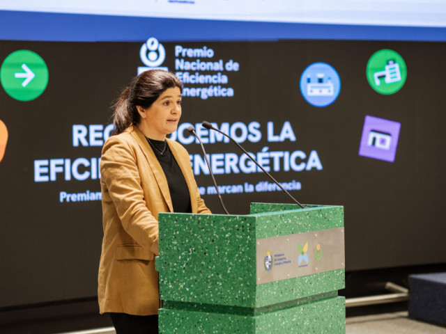 La DNE presenta a los 26 postulantes del Premio Nacional de Eficiencia Energética 2025. Mirá quienes son!