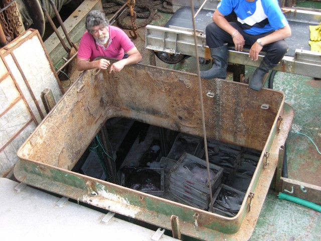 Puerto_Pesca_24