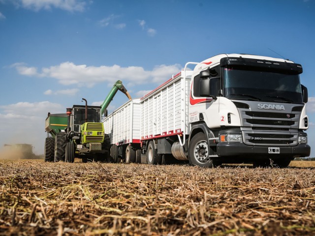 Scania_P250_DB_4X2
