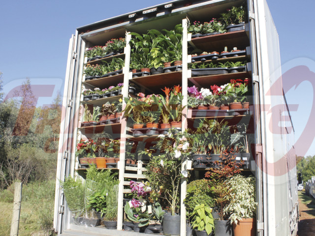 Vivero_Merladett__5