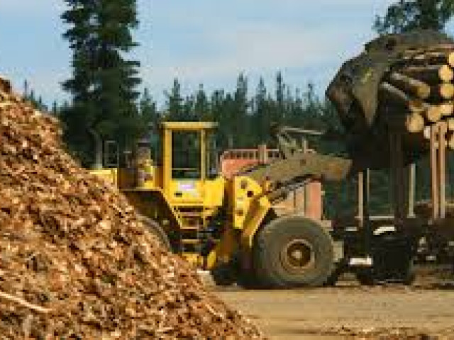 forestal_2
